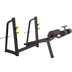 宝驰捷【POSEGYM】PZ-41豪华下斜卧推架 胸大肌训练器 自由力量训练器 健身器材 体育用品